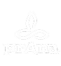 Testimonial logo prana